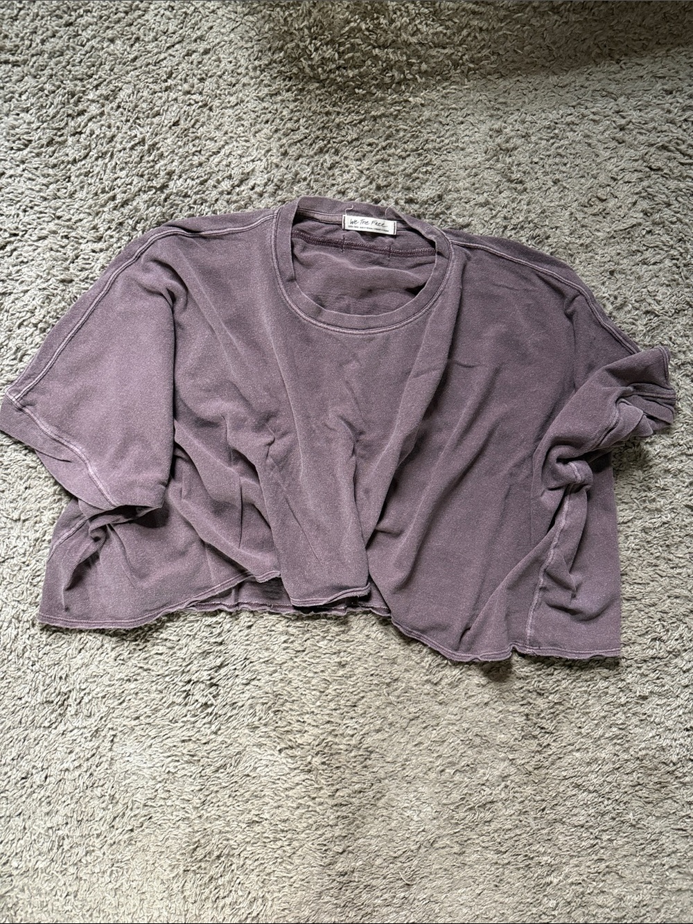 Free People faded lavender cropped tee